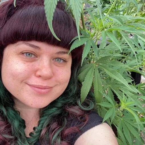 Zoe Schrieber Board Member California Cannabis Industry Association Session II Panelist